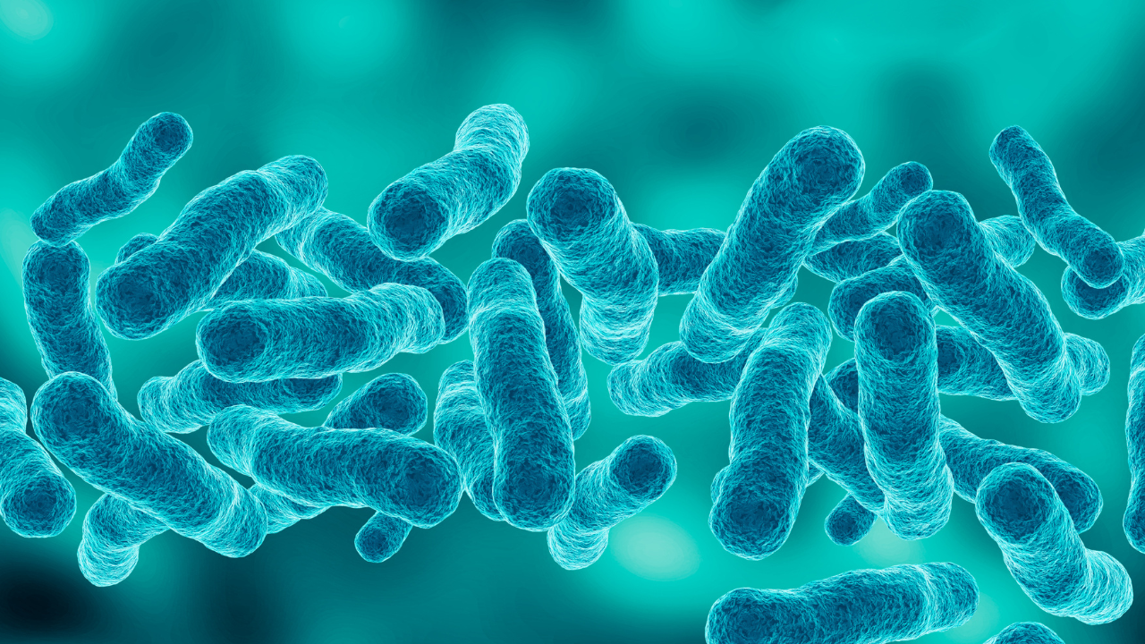 legionella